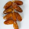 Algerian dates Deglet nour as branch